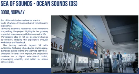 Sea of sounds